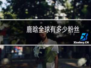 鹿晗全球有多少粉丝
