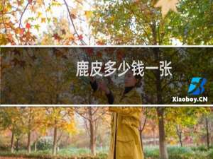 鹿皮多少钱一张