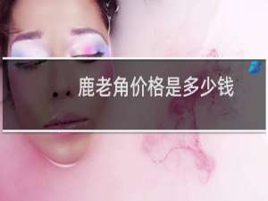 鹿老角价格是多少钱