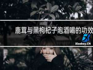 鹿茸与黑枸杞子泡酒喝的功效