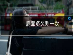 鹿茸多久割一次
