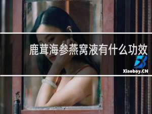 鹿茸海参燕窝液有什么功效
