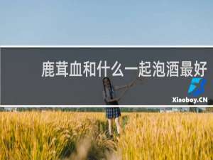鹿茸血和什么一起泡酒最好