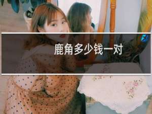 鹿角多少钱一对