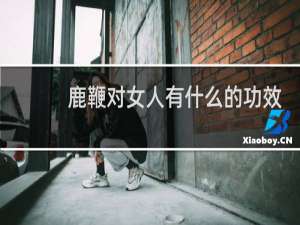 鹿鞭对女人有什么的功效