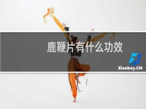 鹿鞭片有什么功效