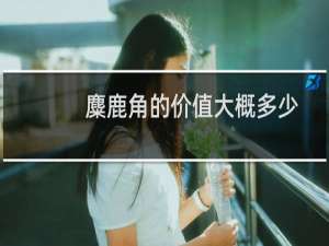 麋鹿角的价值大概多少