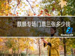 麒麟专场门票三张多少钱