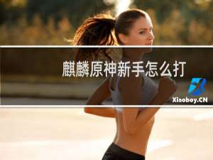 麒麟原神新手怎么打