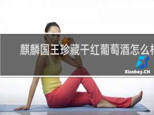 麒麟国王珍藏干红葡萄酒怎么样