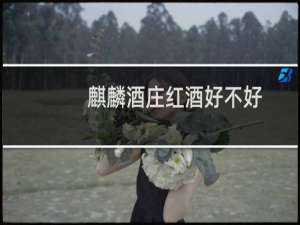 麒麟酒庄红酒好不好