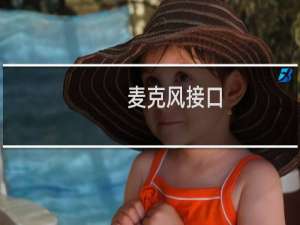 麦克风接口