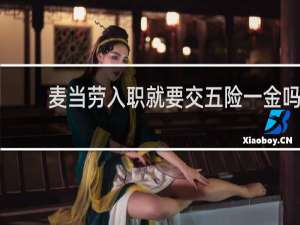 麦当劳入职就要交五险一金吗