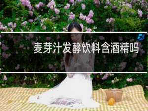 麦芽汁发酵饮料含酒精吗