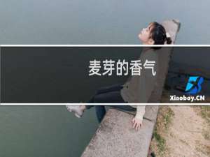 麦芽的香气，行家啊是什么意思，污的什么梗