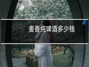 麦香纯啤酒多少钱