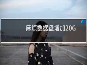 麻烦数据盘增加20G，扩容至50G