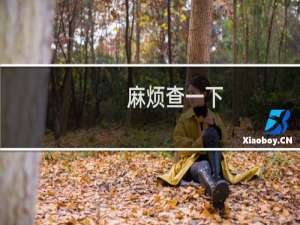 麻烦查一下,这个具体是什么原因