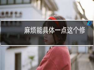 麻烦能具体一点这个修改意见哇