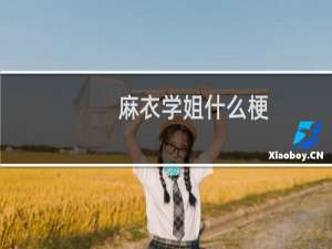 麻衣学姐什么梗