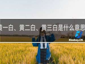 黄一白、黄二白、黄三白是什么意思什么梗