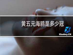 黄五元海鸥是多少冠