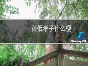 黄俄孝子什么梗