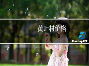 黄叶村价格