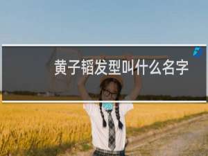 黄子韬发型叫什么名字