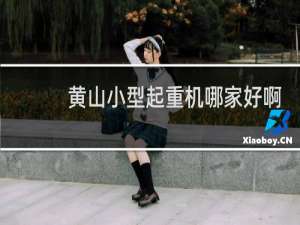 黄山小型起重机哪家好啊