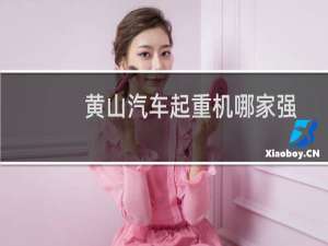 黄山汽车起重机哪家强