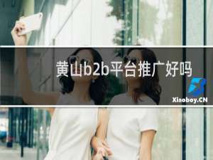 黄山b2b平台推广好吗