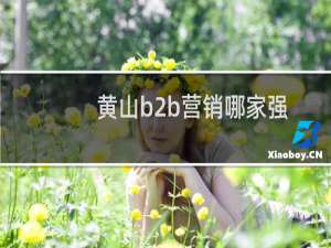 黄山b2b营销哪家强