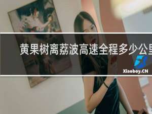 黄果树离荔波高速全程多少公里