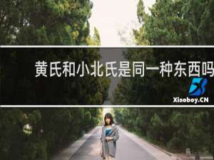黄氏和小北氏是同一种东西吗