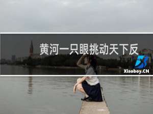 黄河一只眼挑动天下反（挑动黄河天下反的意思）