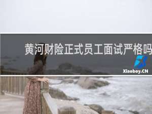 黄河财险正式员工面试严格吗