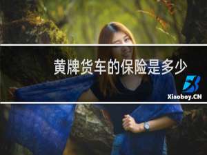 黄牌货车的保险是多少