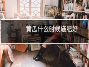 黄瓜什么时候施肥好