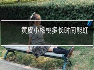 黄皮小核桃多长时间能红