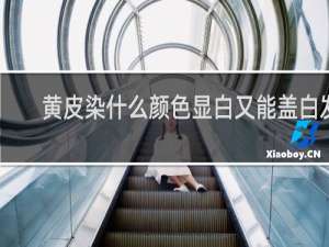 黄皮染什么颜色显白又能盖白发