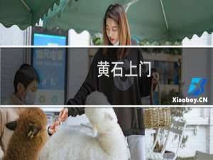 黄石上门