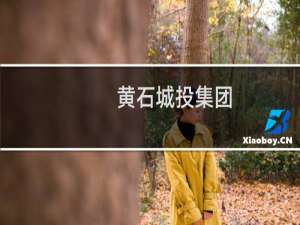 黄石城投集团