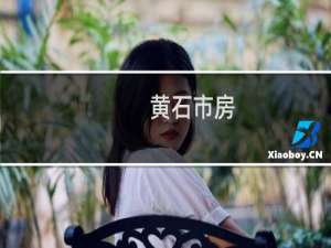 黄石市房