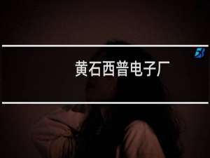 黄石西普电子厂