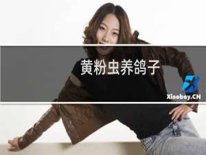 黄粉虫养鸽子
