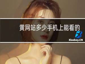 黄网站多少手机上能看的
