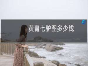 黄胄七驴图多少钱