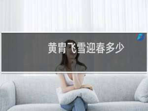 黄胄飞雪迎春多少