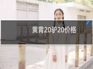 黄胄 驴 价格